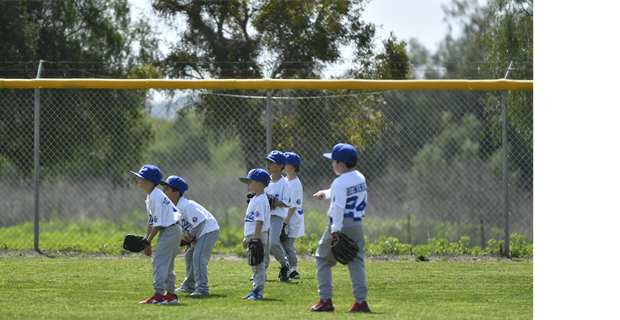 Rookies Dodgers